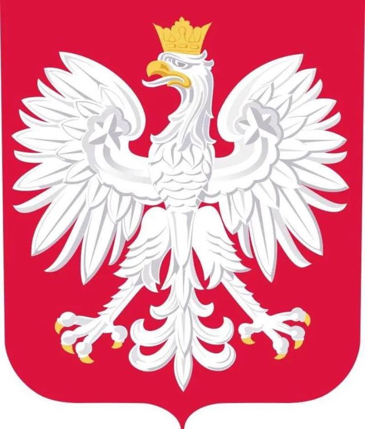 2022世界杯欧洲区预选赛波兰「2022世界杯32强巡礼白鹰部落波兰队」