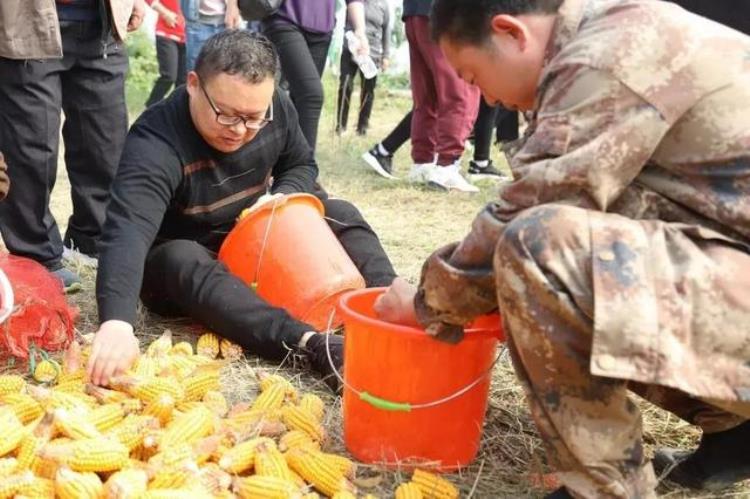 峰峰快讯给热爱运动的你打几分