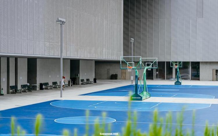 深圳大型体育场馆,深圳市内最大的运动馆