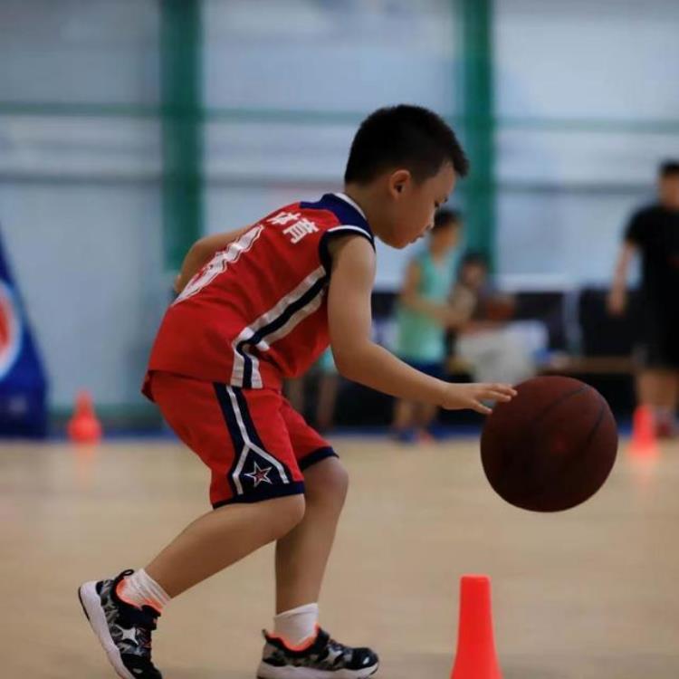 一节少儿篮球训练课怎么设计安排「一节少儿篮球训练课怎么设计安排」