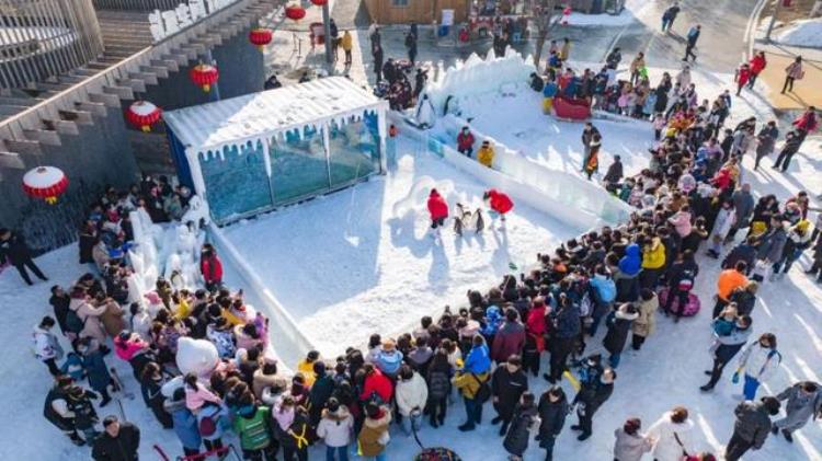 中国唐山皮影艺术「中国唐山皮影主题乐园荣获2022WDA世界设计大奖」