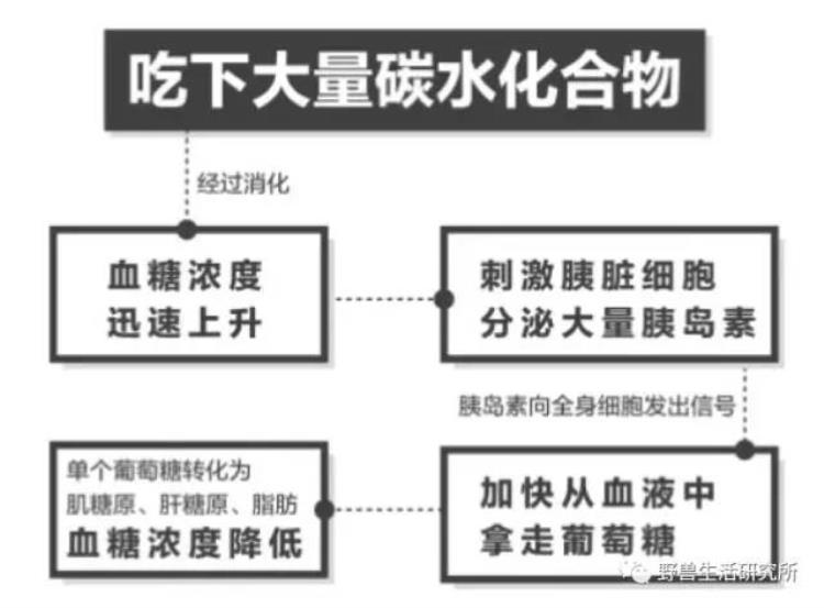 低碳水会掉肌肉吗「低碳水饮食掉肌肉詹姆斯科比杜兰特等NBA冠军纷纷表示呵呵」