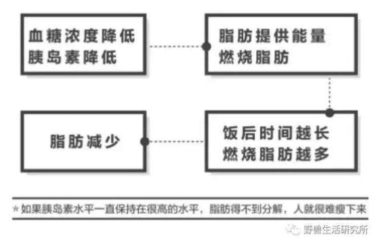 低碳水会掉肌肉吗「低碳水饮食掉肌肉詹姆斯科比杜兰特等NBA冠军纷纷表示呵呵」