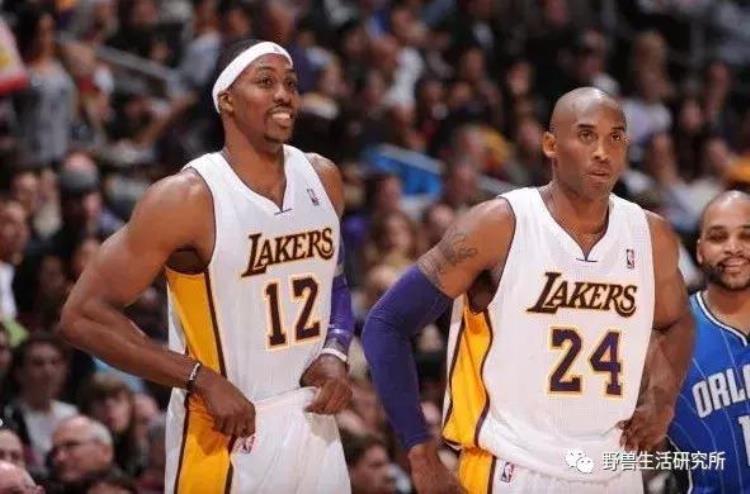 低碳水会掉肌肉吗「低碳水饮食掉肌肉詹姆斯科比杜兰特等NBA冠军纷纷表示呵呵」