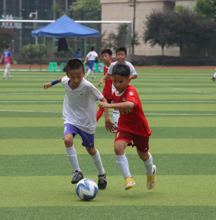 2022火炬杯九龙坡区青少年足球邀请赛圆满落幕