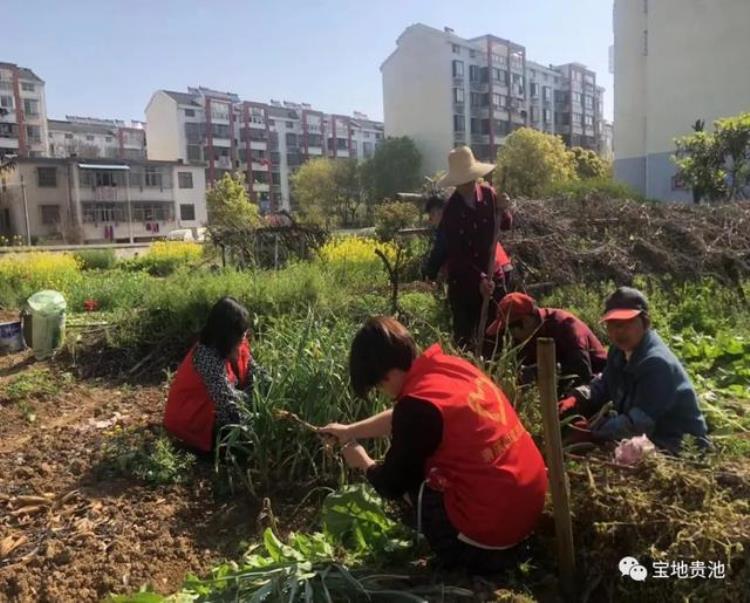 创建全国文明城市社区行清溪街道齐山社区聚焦短板弱项落实落细创建措施