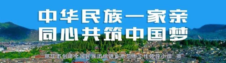 丽江四星级酒店排名「千人参赛丽江这三个项目的四级联赛总决赛在体育发展中心开赛」
