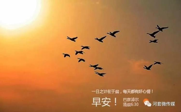鸿雁智+ app「鸿雁知天下新闻早餐2018年12月15日」