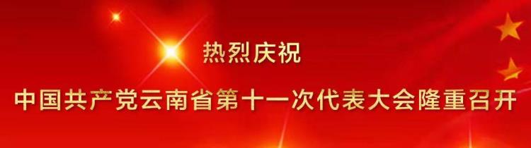 丽江四星级酒店排名「千人参赛丽江这三个项目的四级联赛总决赛在体育发展中心开赛」