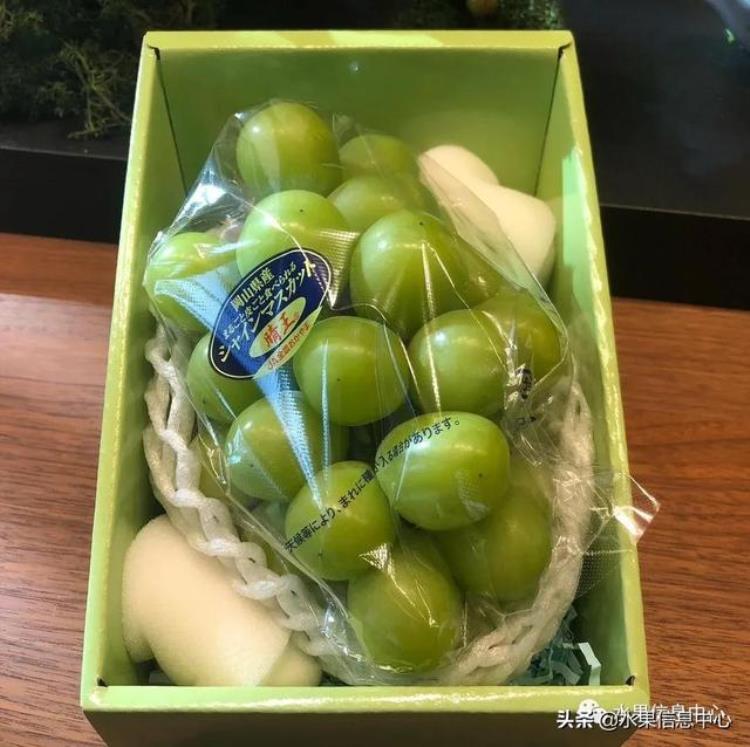 晴王葡萄和香印青提「香印青提冈山晴王红宝石葡萄猫眼葡萄哪款最甜」