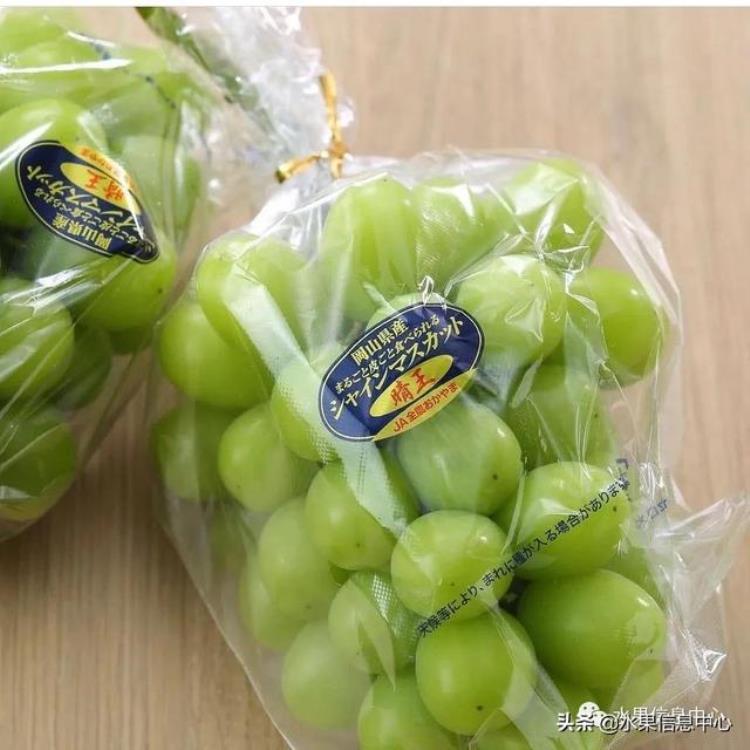 晴王葡萄和香印青提「香印青提冈山晴王红宝石葡萄猫眼葡萄哪款最甜」