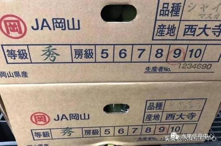 晴王葡萄和香印青提「香印青提冈山晴王红宝石葡萄猫眼葡萄哪款最甜」