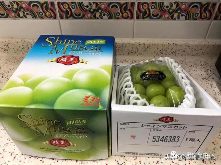 晴王葡萄和香印青提「香印青提冈山晴王红宝石葡萄猫眼葡萄哪款最甜」