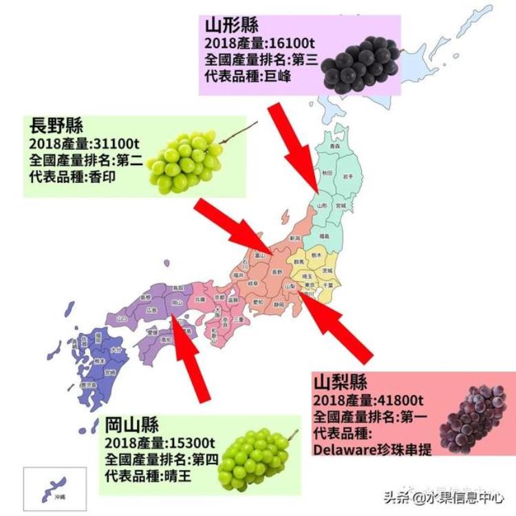 晴王葡萄和香印青提「香印青提冈山晴王红宝石葡萄猫眼葡萄哪款最甜」