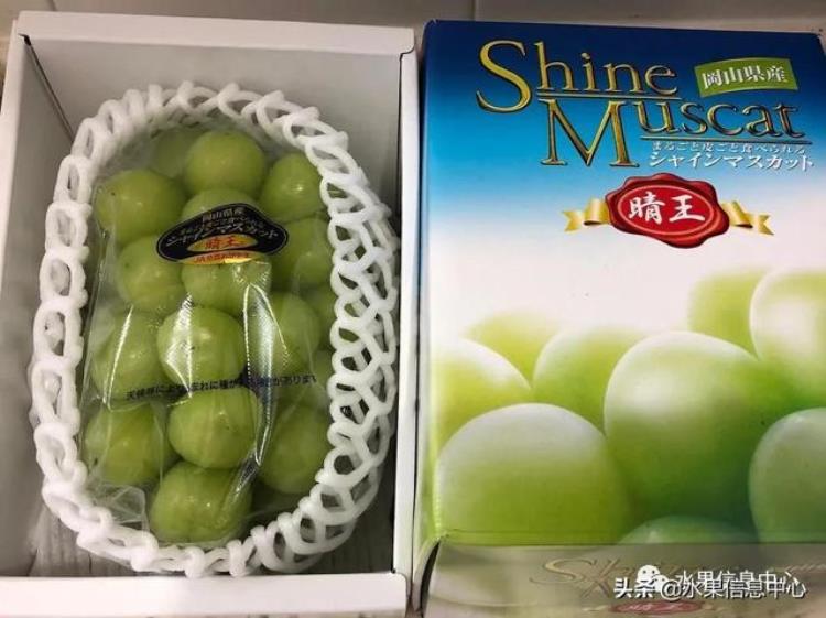 晴王葡萄和香印青提「香印青提冈山晴王红宝石葡萄猫眼葡萄哪款最甜」