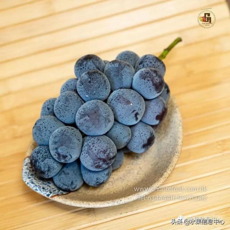晴王葡萄和香印青提「香印青提冈山晴王红宝石葡萄猫眼葡萄哪款最甜」