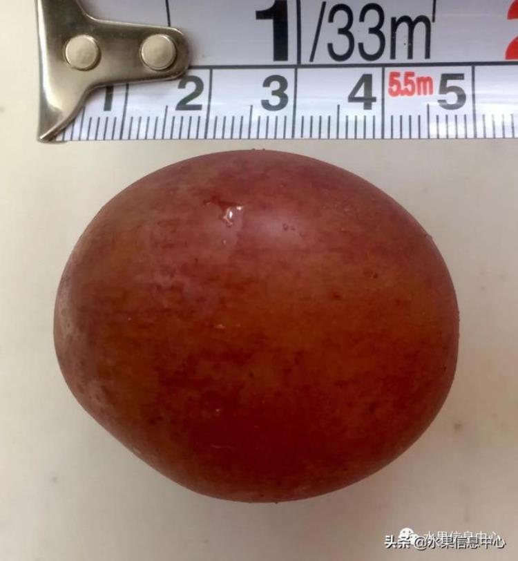晴王葡萄和香印青提「香印青提冈山晴王红宝石葡萄猫眼葡萄哪款最甜」