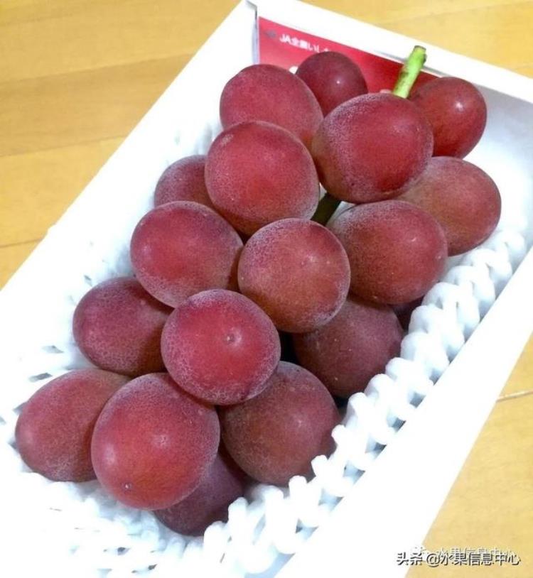 晴王葡萄和香印青提「香印青提冈山晴王红宝石葡萄猫眼葡萄哪款最甜」