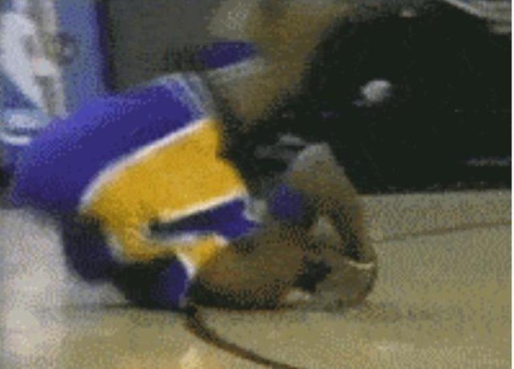 翻身跳投科比「NBA花式倒地姿势科比赛场翻跟头伯德摔倒也要摆个装X姿势」