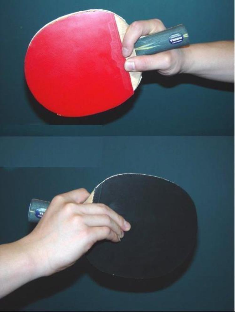 乒乓球拍选购指南「最详细的乒乓球爱好者入门手把手教您选择乒乓球拍和性能介绍」