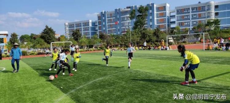 祝贺晋宁区又有8所中小学被认定为全国青少年足球特色学校