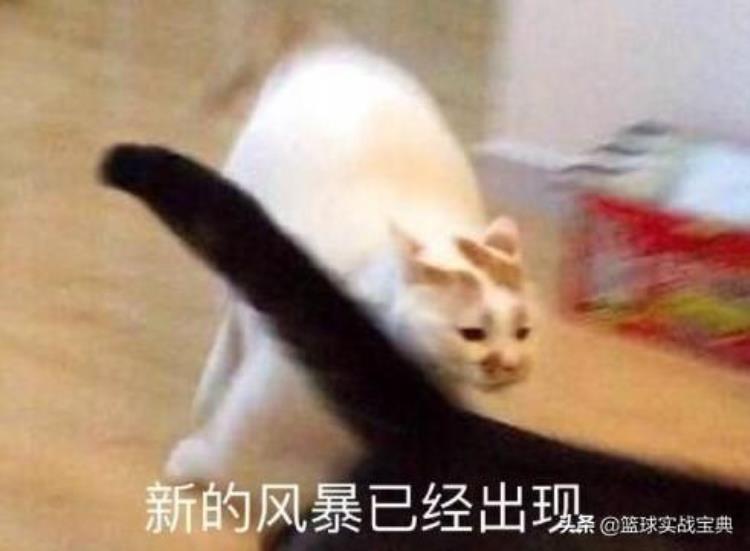 1000万罚款肖华收款码早已饥渴难耐快船惨遭打脸