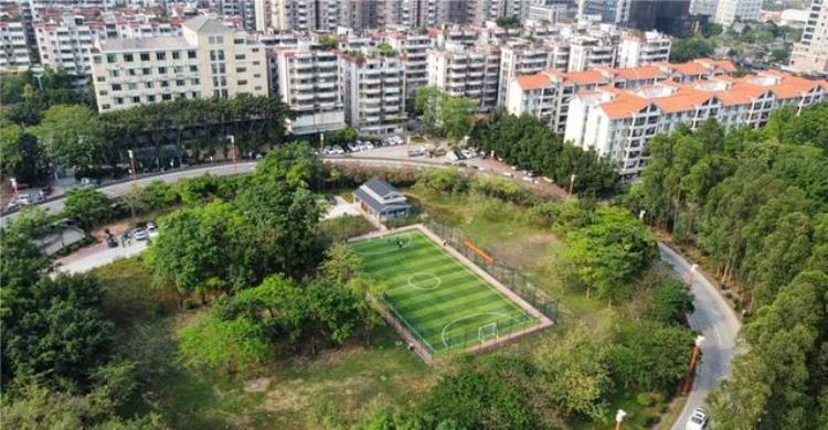 德兴公园足球场开放了吗「街坊身边的足球场来了番禺德兴公园5人制足球场投入使用」
