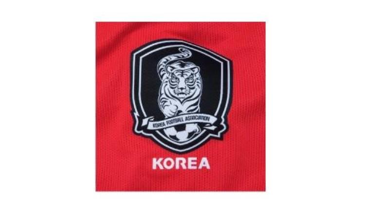 韩国队对阵黎巴嫩「官方韩国与黎巴嫩的12强赛主客场对调韩国将连续三个主场开局」