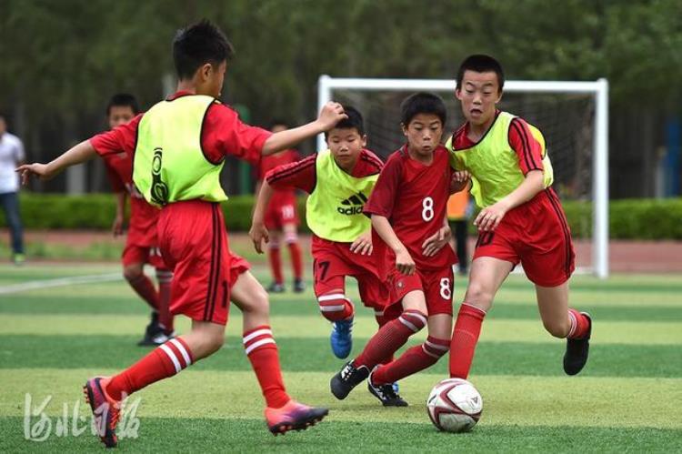 青少年校园足球赛「足球梦少年行我校参加县中小学足球联赛」
