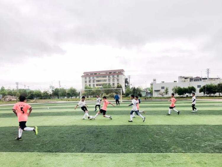 瑞金市运动会「派迪茵体育|瑞金市2023年中小学生校际足球联赛开赛」