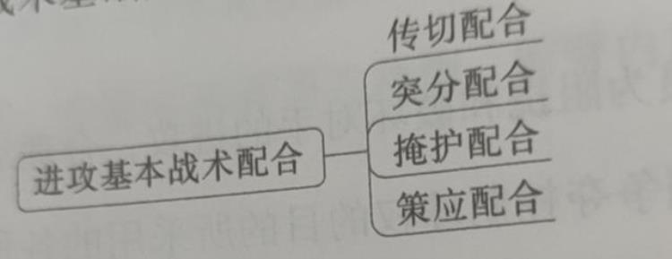 篮球的技战术有哪些「硬核科普篮球运动的主要技术战术」