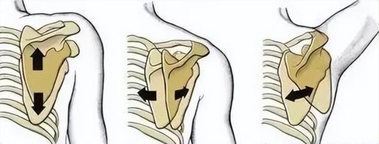 肩膀关节咔咔响是什么原因「肩膀总是34咔咔响34你的肩关节弹响可能是这些原因」