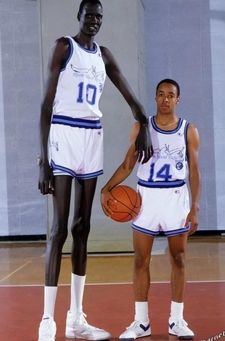 最高的篮球员是谁「历史上10个最高的篮球运动员你猜姚明排第几」