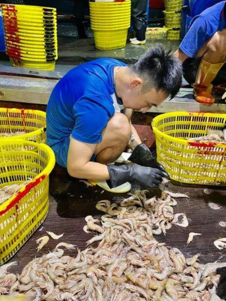 越南收废金属「收废纸菜市场剥虾讨生活越南足球员停工大半年急找出路」