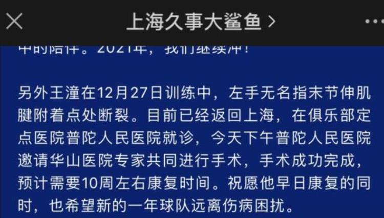 nba手指肌腱断裂「5000亿土豪受重创扣篮王手指肌腱断裂手术后需休养10周」