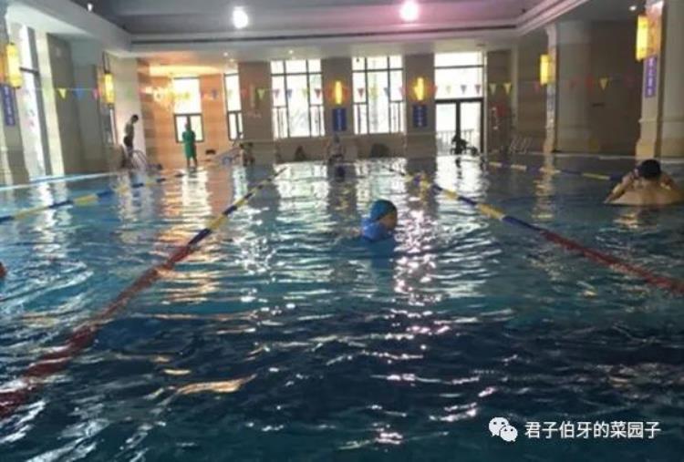 广州军体院游泳馆电话「原创那年广州军体院我的蛙泳值得借鉴作者李战军」