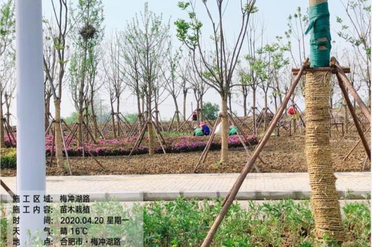 新站的规划「刚刚总投资约115亿新站2020年大建设计划新鲜出炉」