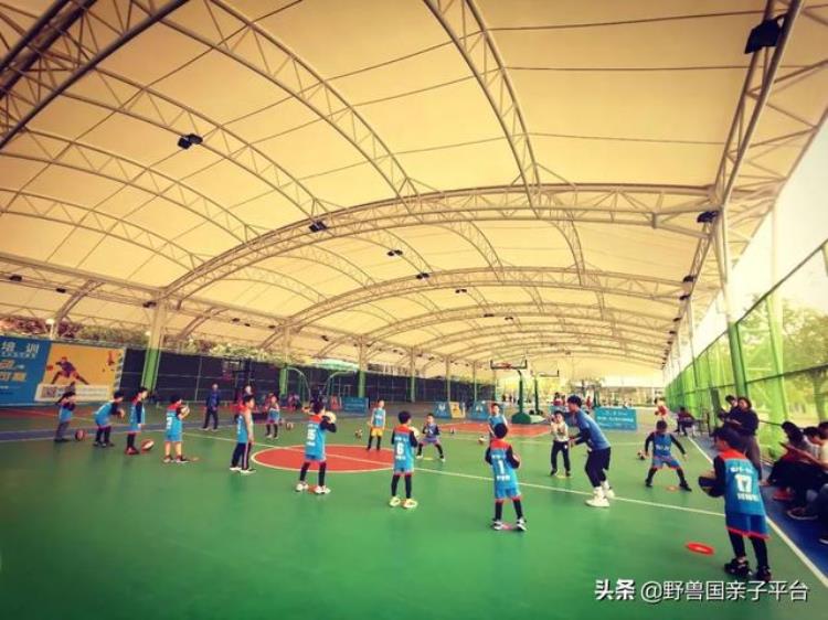 东莞儿童篮球培训机构哪个好「篮球网球足球当下东莞最热门儿童体育机构给你列好了」