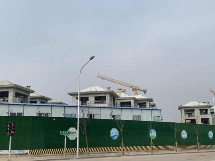 是以恒大和泰禾为典型的「恒大泰禾项目复工调查工人已进场业主也在监督」
