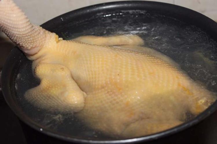 白切鸡怎么入盐味「广东大厨做白切鸡浸鸡之前加一点盐才能逼出鸡肉原有鲜味」