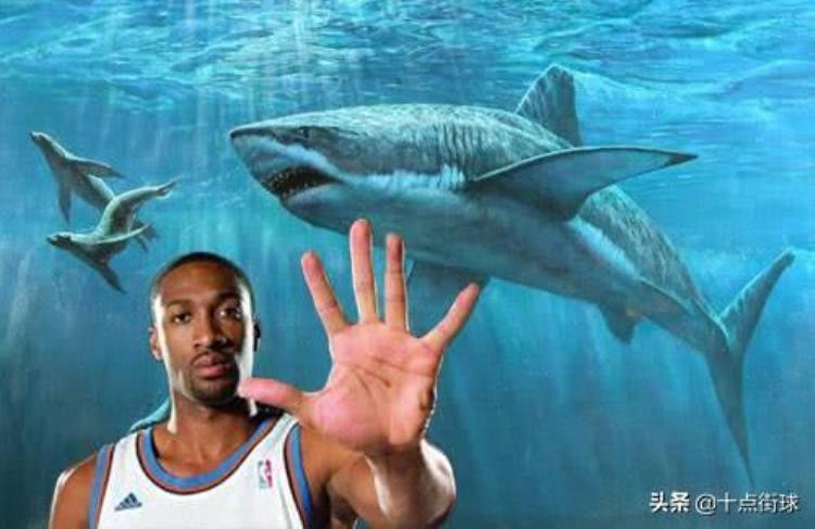 保罗鲨鱼t恤「NBA球星的另类炫富晒钞票养鲨鱼保罗的衣服从来都是穿完就扔」