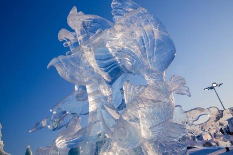 17国艺术家51座冰雕艺术精品给你一场眼部spa