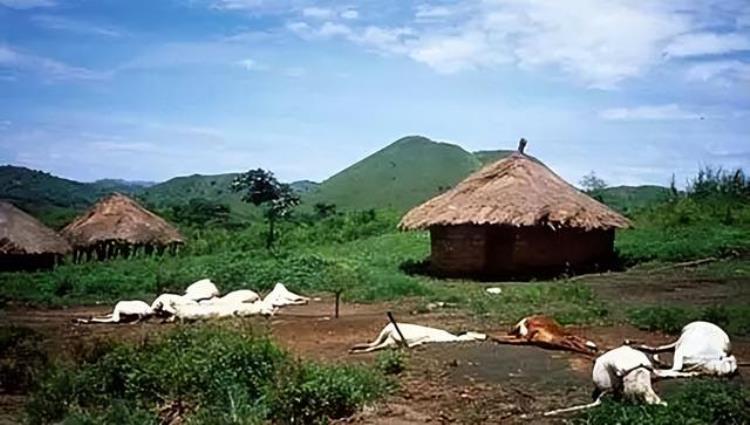 非洲惨案「1986年非洲杀人湖一夜夺走1700人生命将水抽出后揪出凶手」