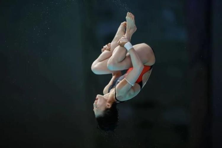 跳水冠军美女「跳水界颜值天花板跳水女神大盘点你心中的最美跳水皇后是谁」