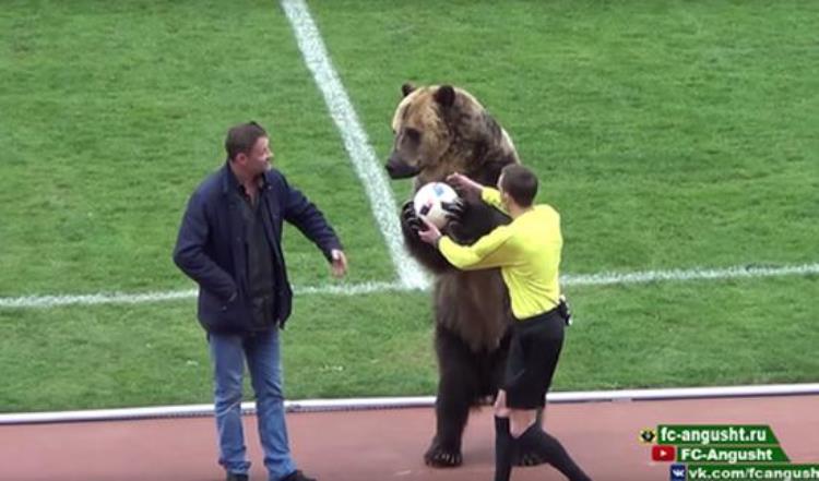 俄罗斯人喜欢熊「俄罗斯人爱熊如痴连世界杯都要请熊来当开球嘉宾吗」