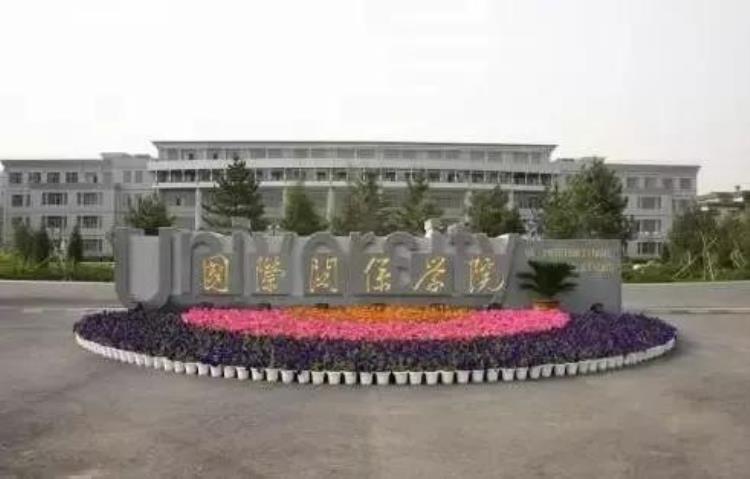 中国国际关系学会,海外国际关系学院