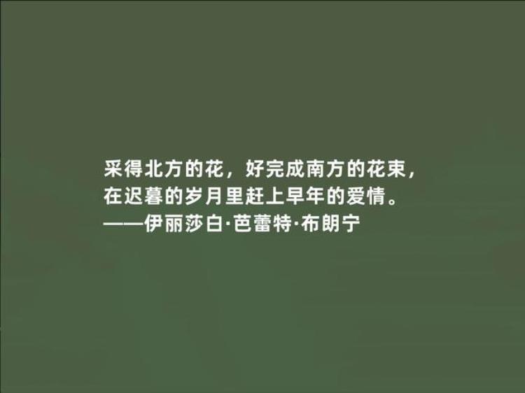 布朗宁的名言「英国顽强女诗人布朗宁十句诗话才气十足极具现实意义爱了」