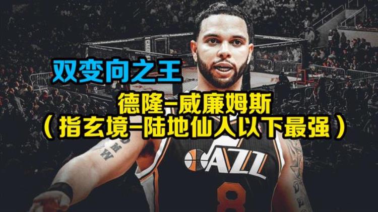 nba人球结合最好的球员「NBA20年人球结合最完美的六位球员一品四境都是什么实力」