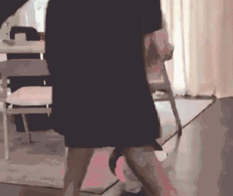 韦德参加的篮球综艺「去你的篮球梦韦德虐菜抢断女儿后暴扣一身装X的打扮亮了」