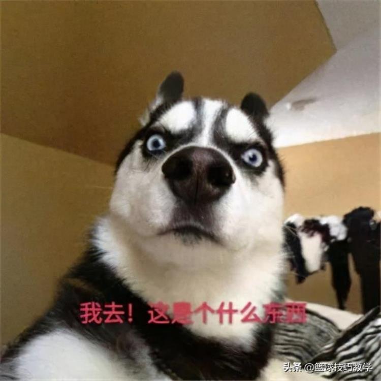 公开宣布摆烂现在NBA摆烂都这么光明正大了吗